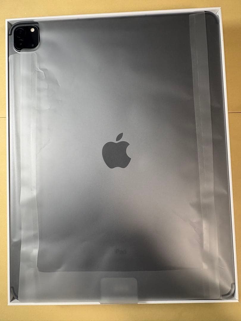 極美品iPadPro12.9 第5世代 256GB wifi+cellular