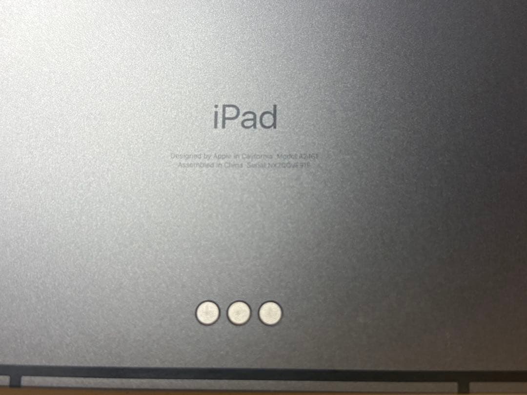極美品iPadPro12.9 第5世代 256GB wifi+cellular