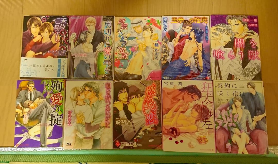 Bl 小説 38冊 まとめ売り 《即決不可》