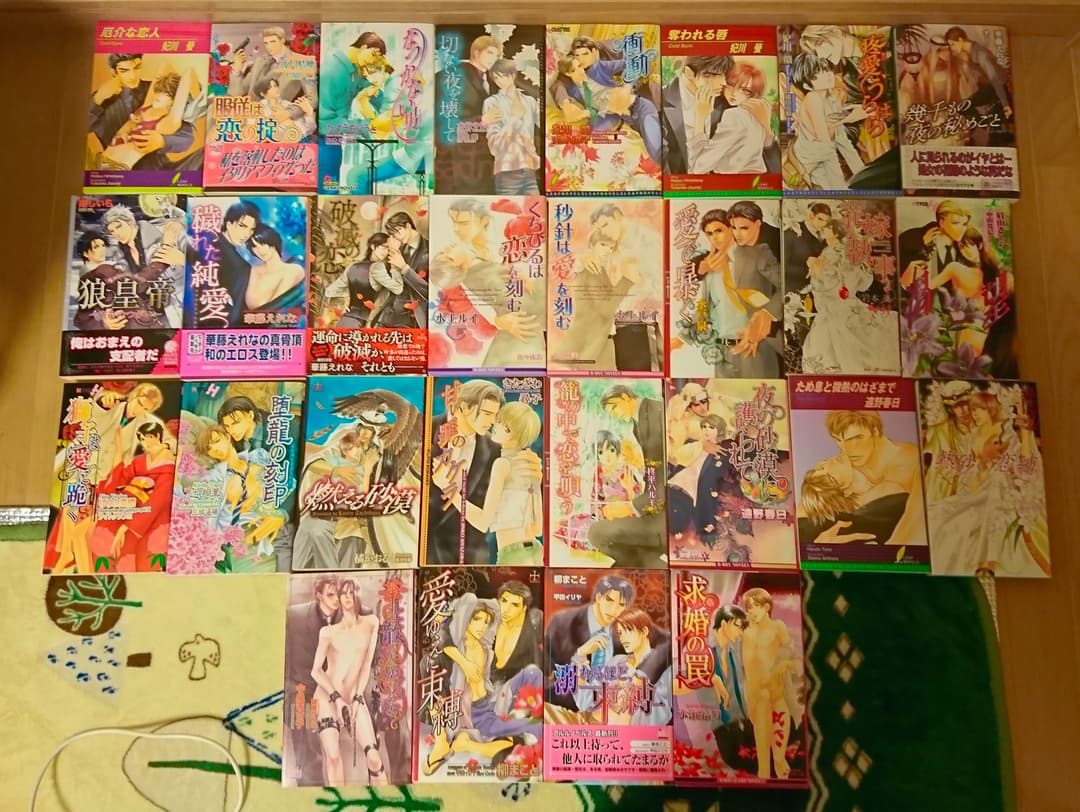 Bl 小説 38冊 まとめ売り 《即決不可》