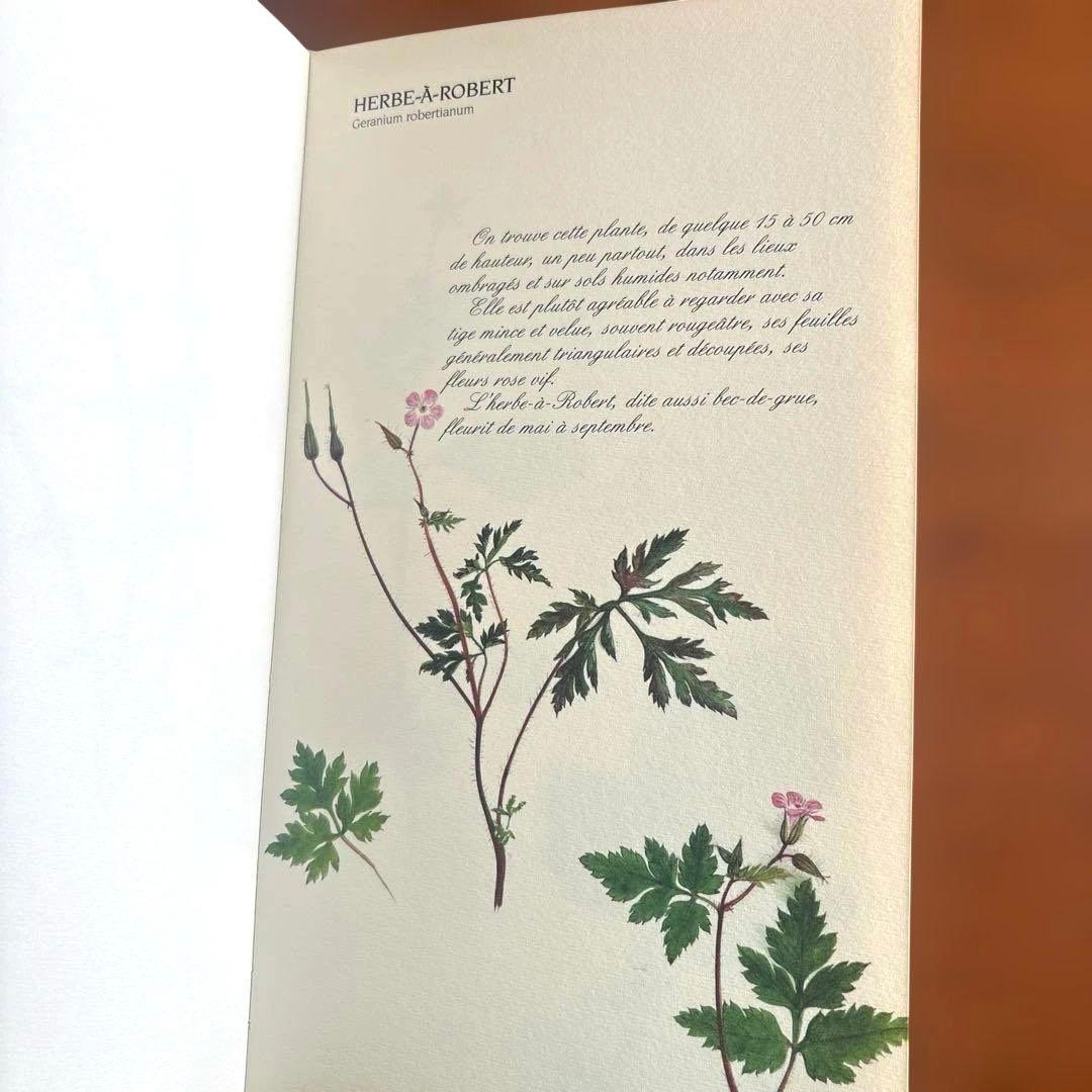 洋書古書　希少！フランス ナタン社の植物図鑑 額装向けハーブ植物画多数