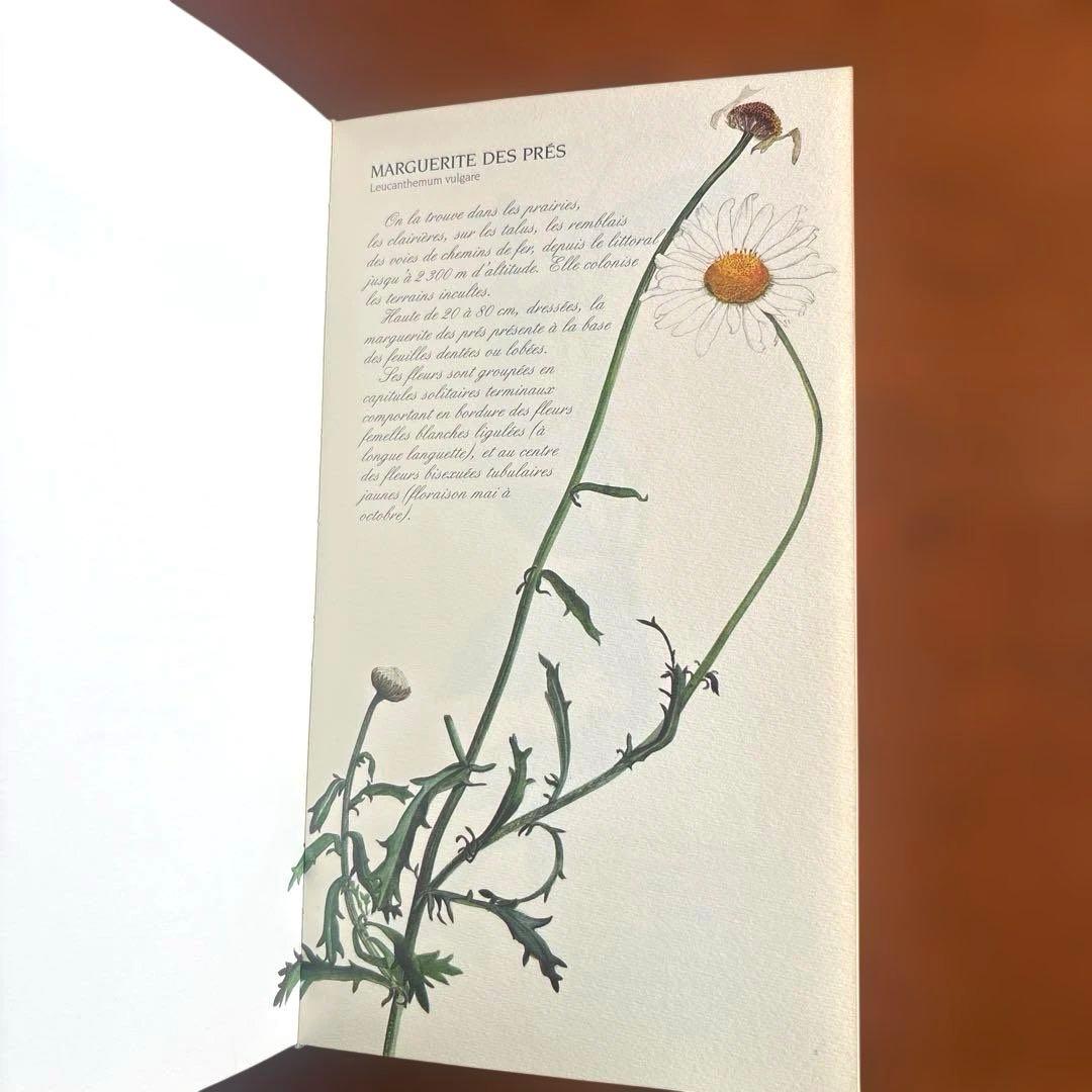 洋書古書　希少！フランス ナタン社の植物図鑑 額装向けハーブ植物画多数
