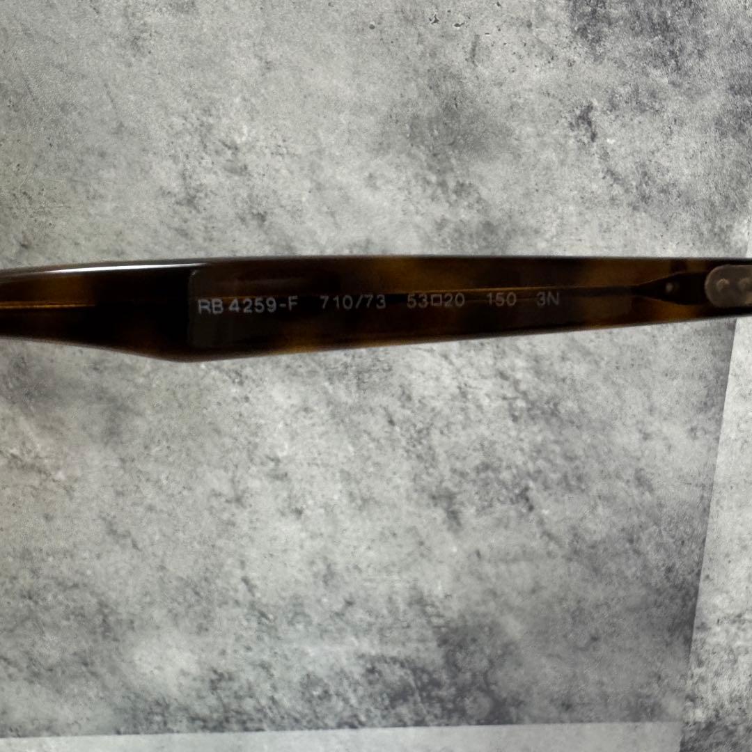 Ray-Ban レイバン RB4259F サングラス