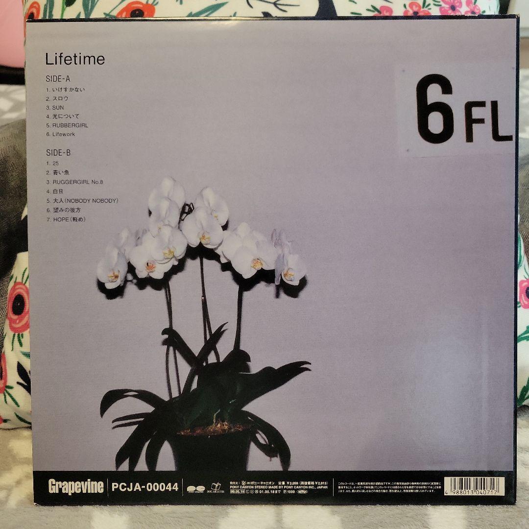 GRAPEVINE グレイプバイン LIFETIME アナログ レコード