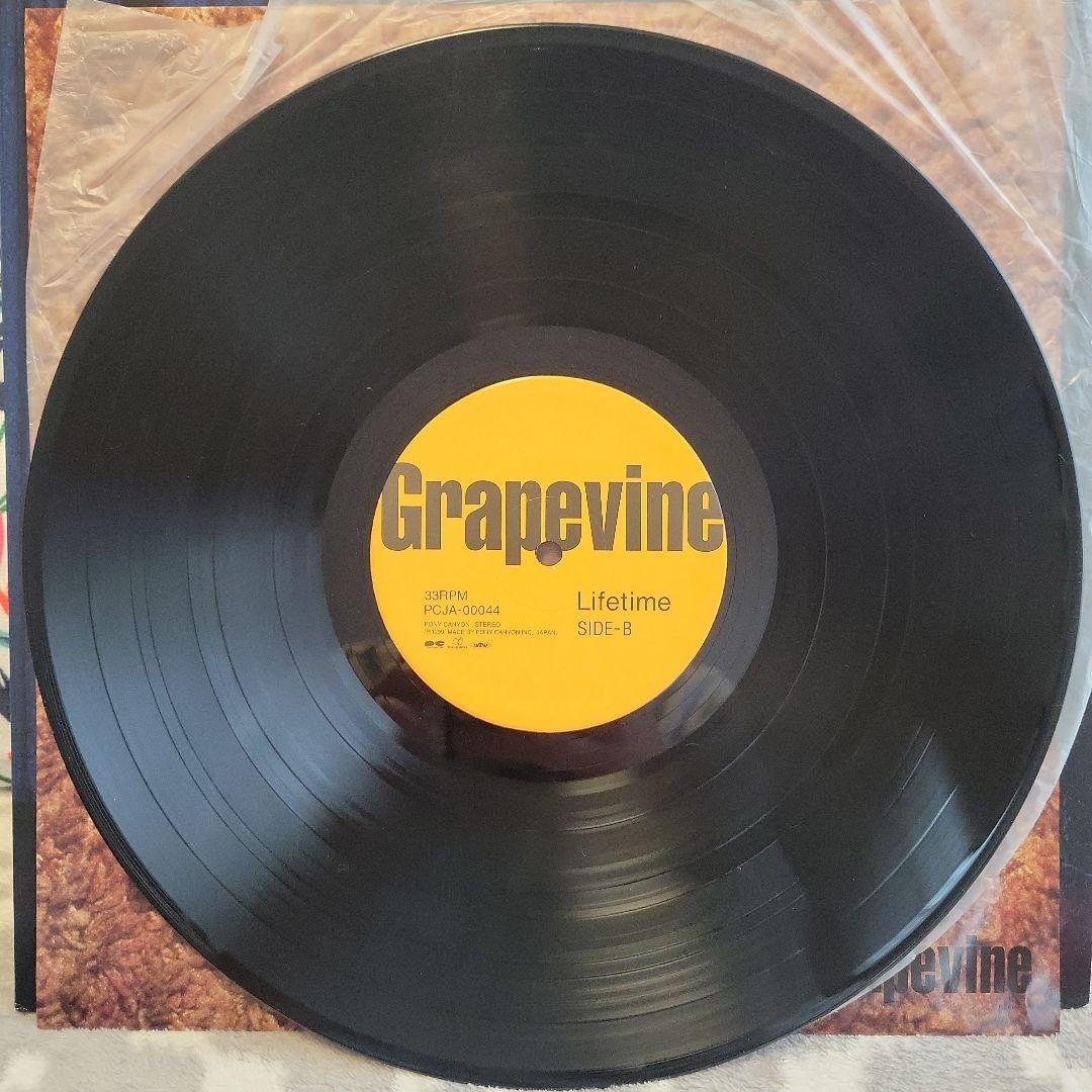 GRAPEVINE グレイプバイン LIFETIME アナログ レコード