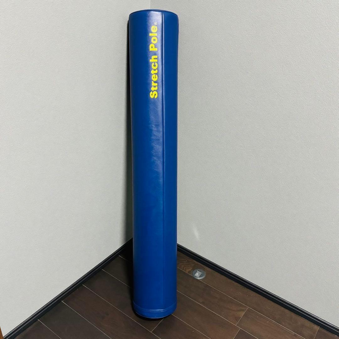 StretchPole ストレッチポール ネイビー　１本