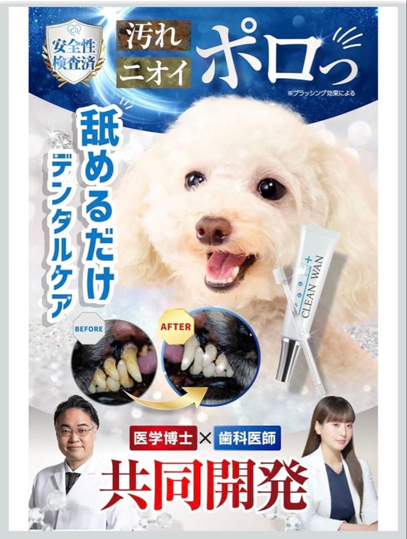 CLEAN WAN クリーンワン デンタルケアセット　3本+歯ブラシ付き