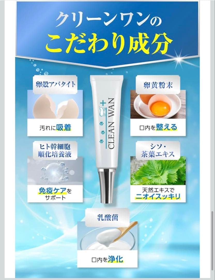 CLEAN WAN クリーンワン デンタルケアセット　3本+歯ブラシ付き