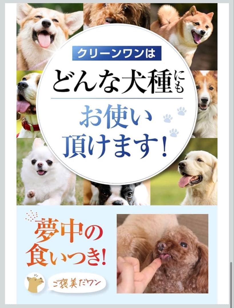 CLEAN WAN クリーンワン デンタルケアセット　3本+歯ブラシ付き