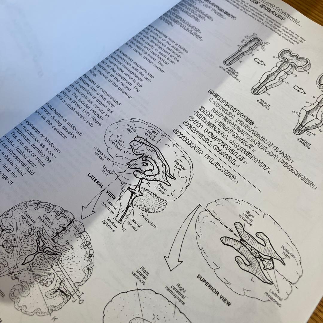 洋書　The Anatomy Coloring Book 人体　解剖　ぬりえ