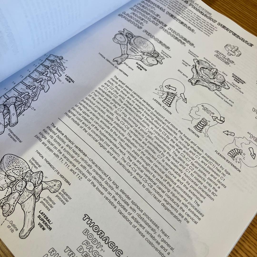 洋書　The Anatomy Coloring Book 人体　解剖　ぬりえ