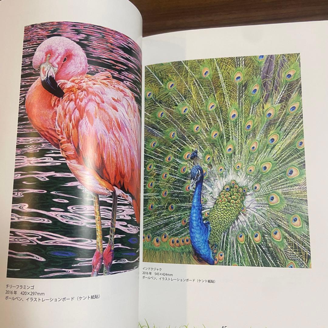 磯野キャビア ボールペン画集ZOO