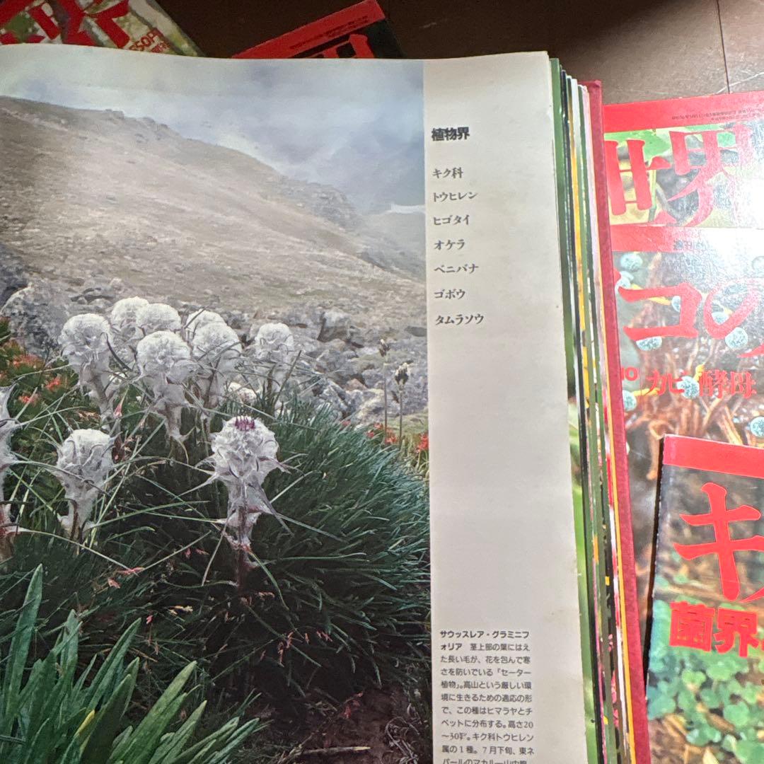 週刊朝日百科　植物の世界 全145冊セット別冊きのこの世界5冊