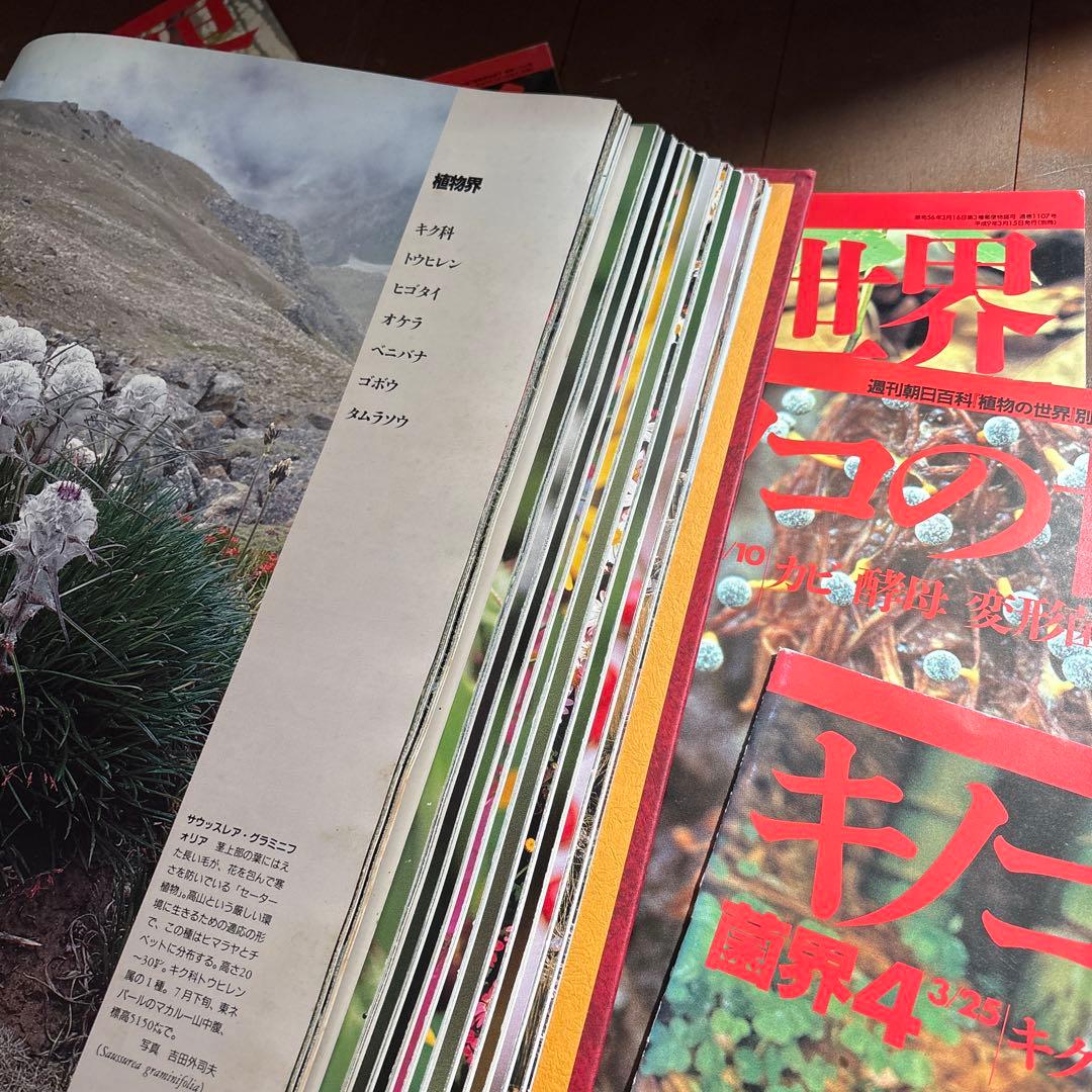 週刊朝日百科　植物の世界 全145冊セット別冊きのこの世界5冊