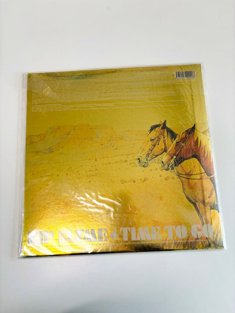 RIP SLYME TIME TO GO レコード
