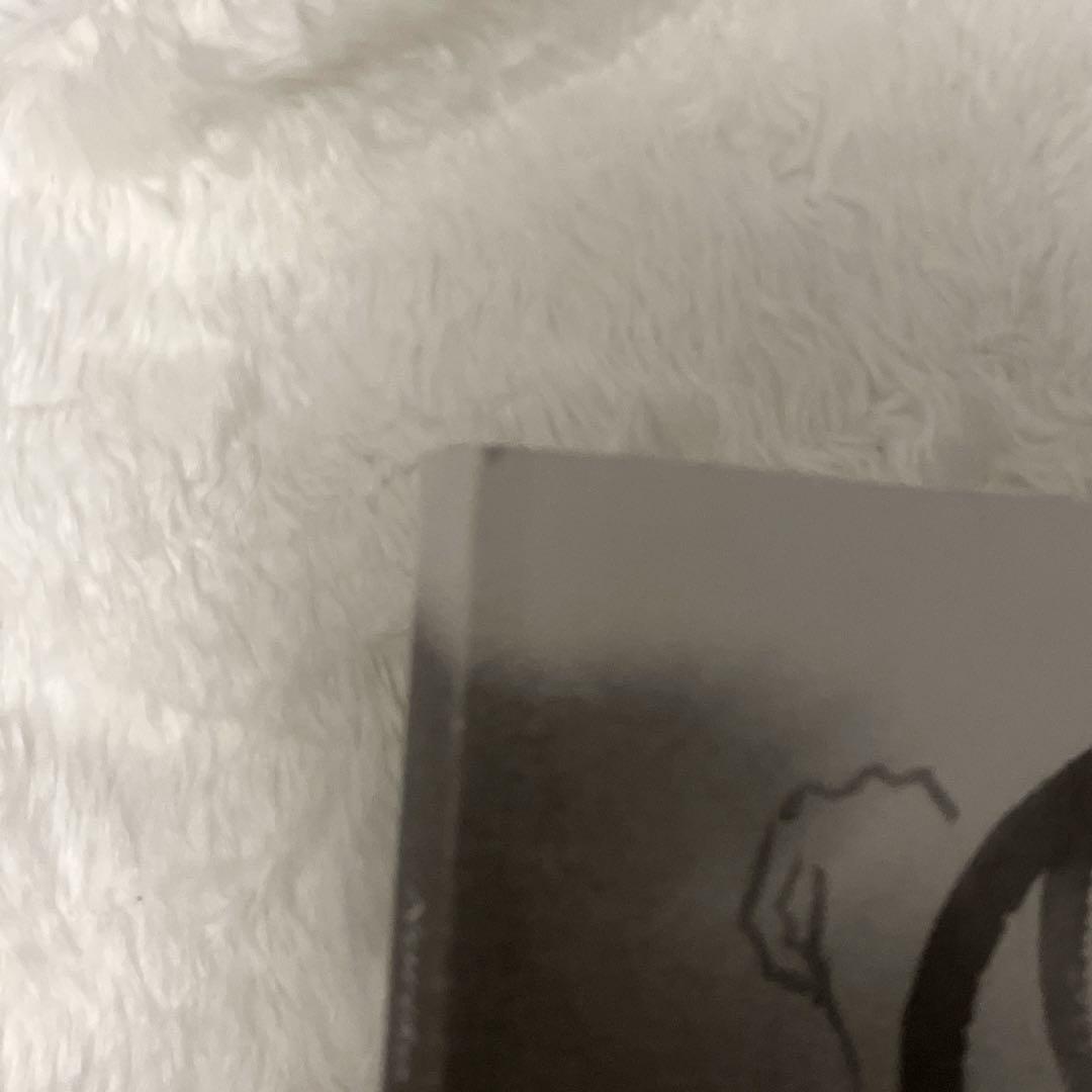 希少直筆サインあり　Noriko Oobe 音部訓子 画集 ダブル・ファンタジー
