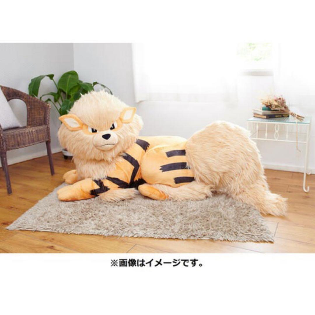 ごんた