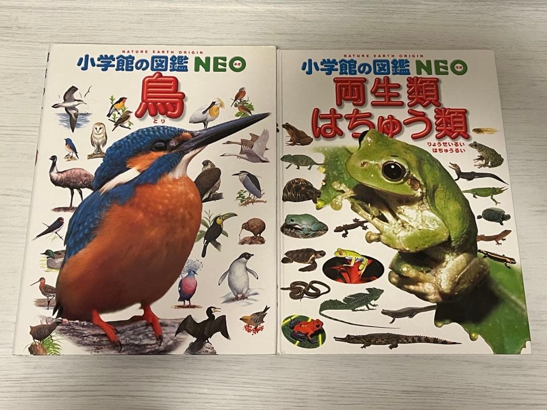 【9冊セット】小学館の図鑑NEOシリーズ