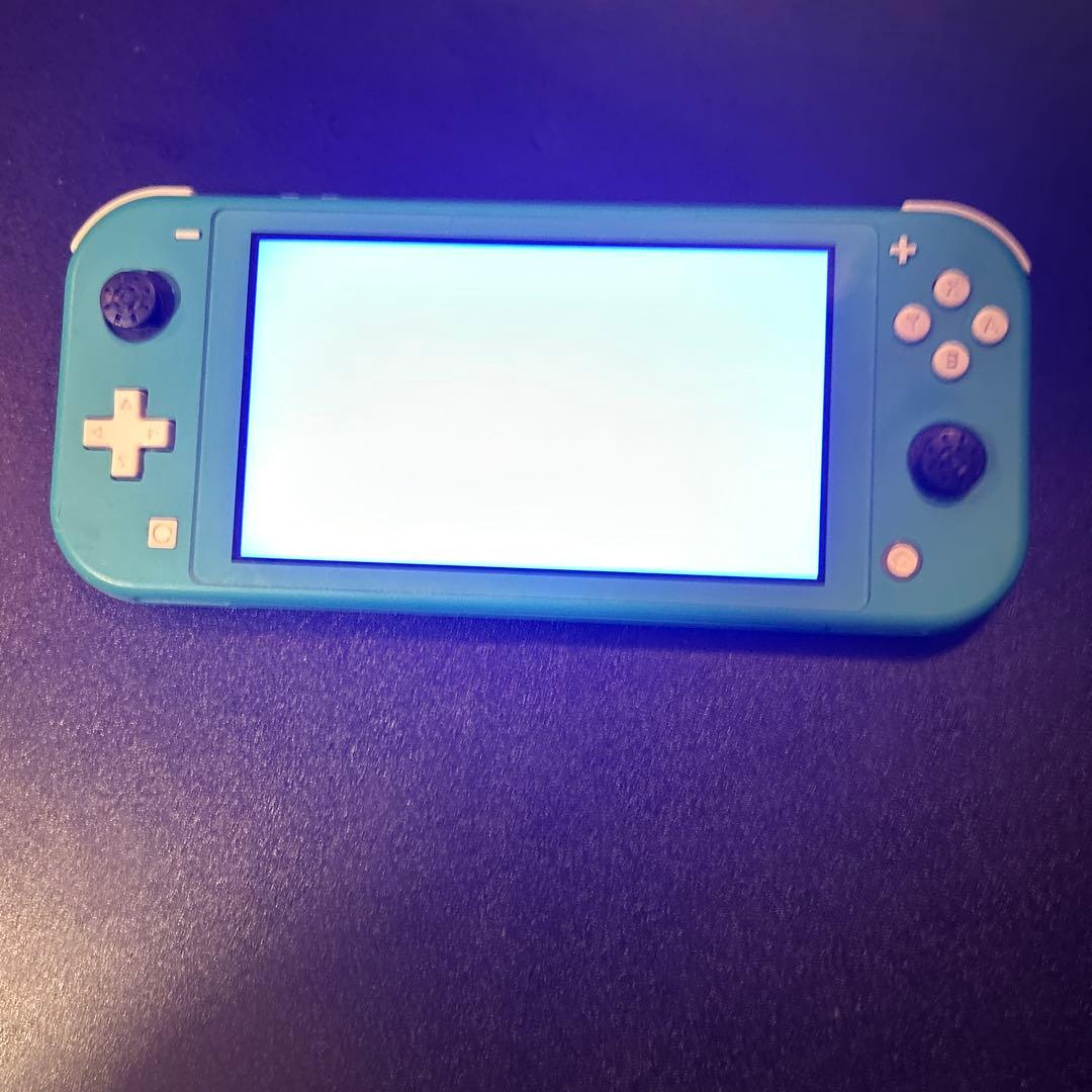 Switchライト ジャンク品