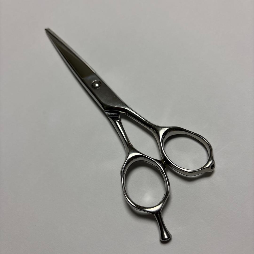 ミズタニシザー
