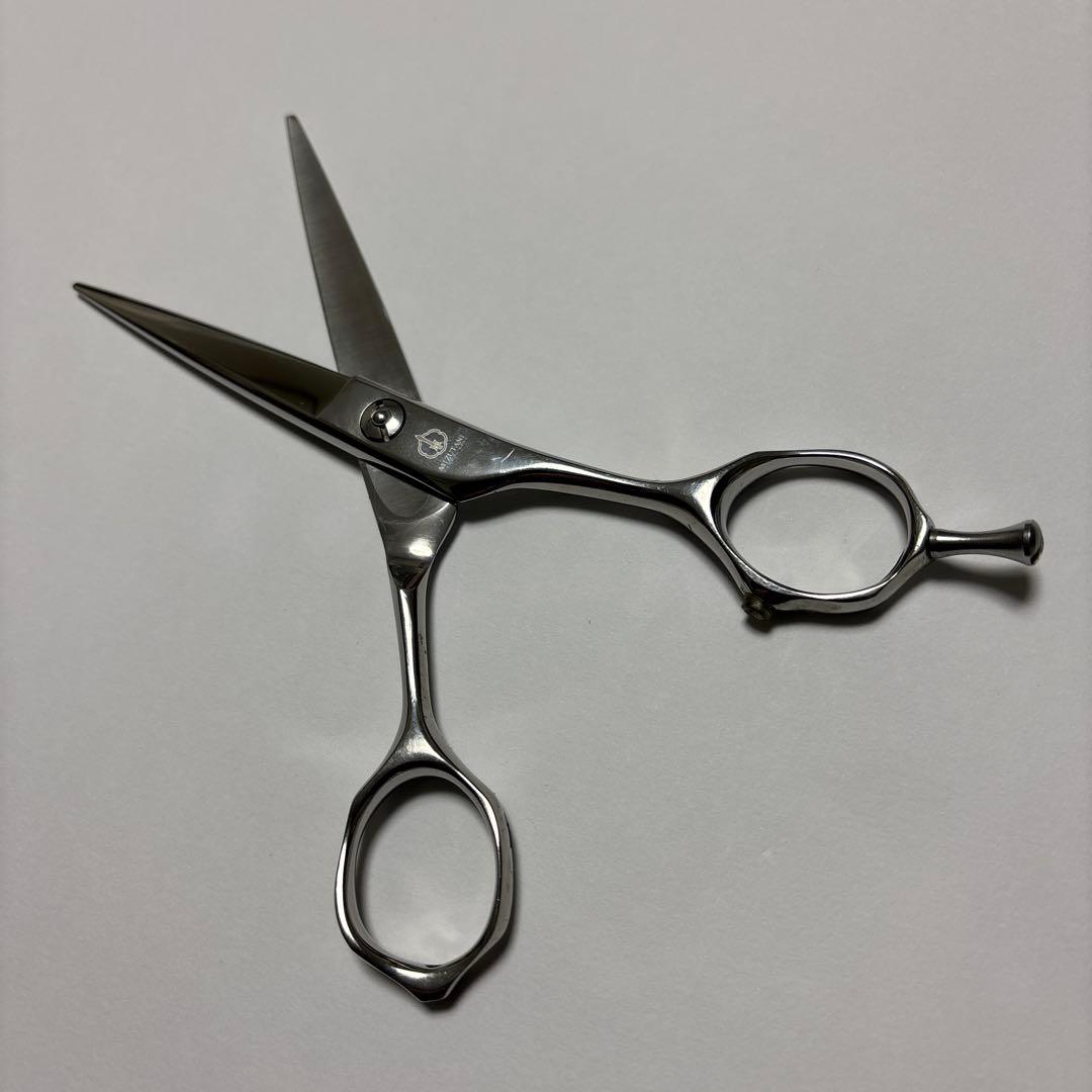ミズタニシザー