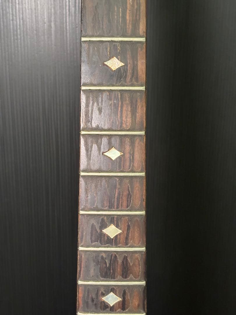 1980年代　Aria Pro II TS-600 ジャンク