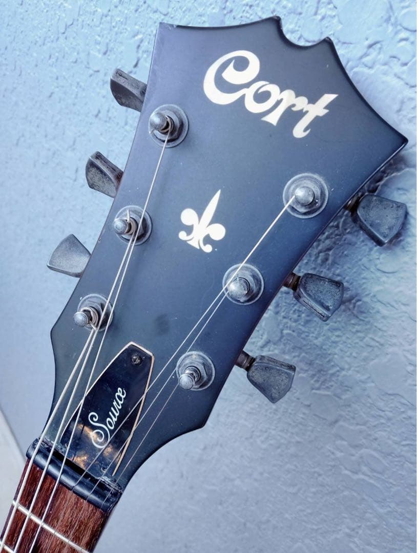 Cort Source 335 セミアコ buru