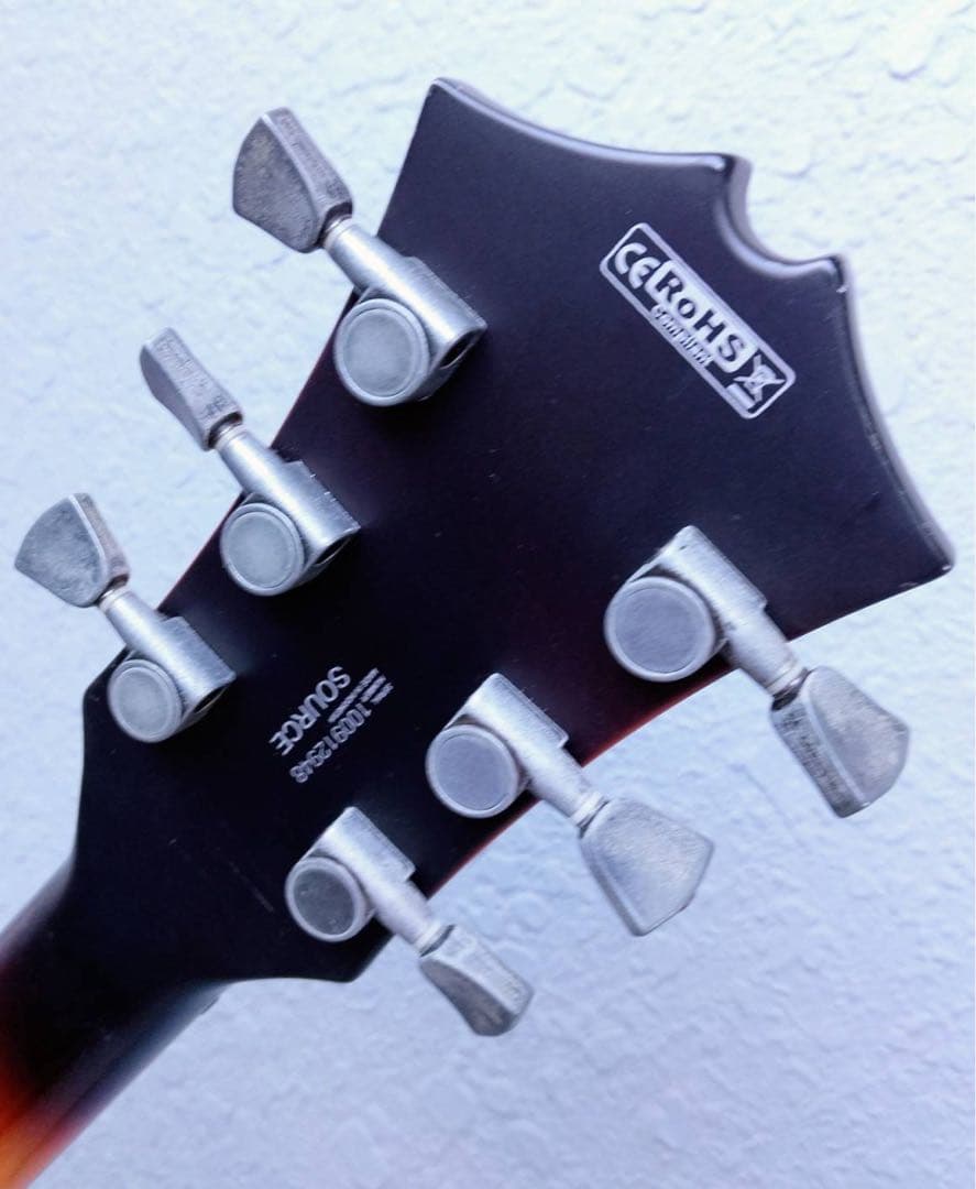 Cort Source 335 セミアコ buru