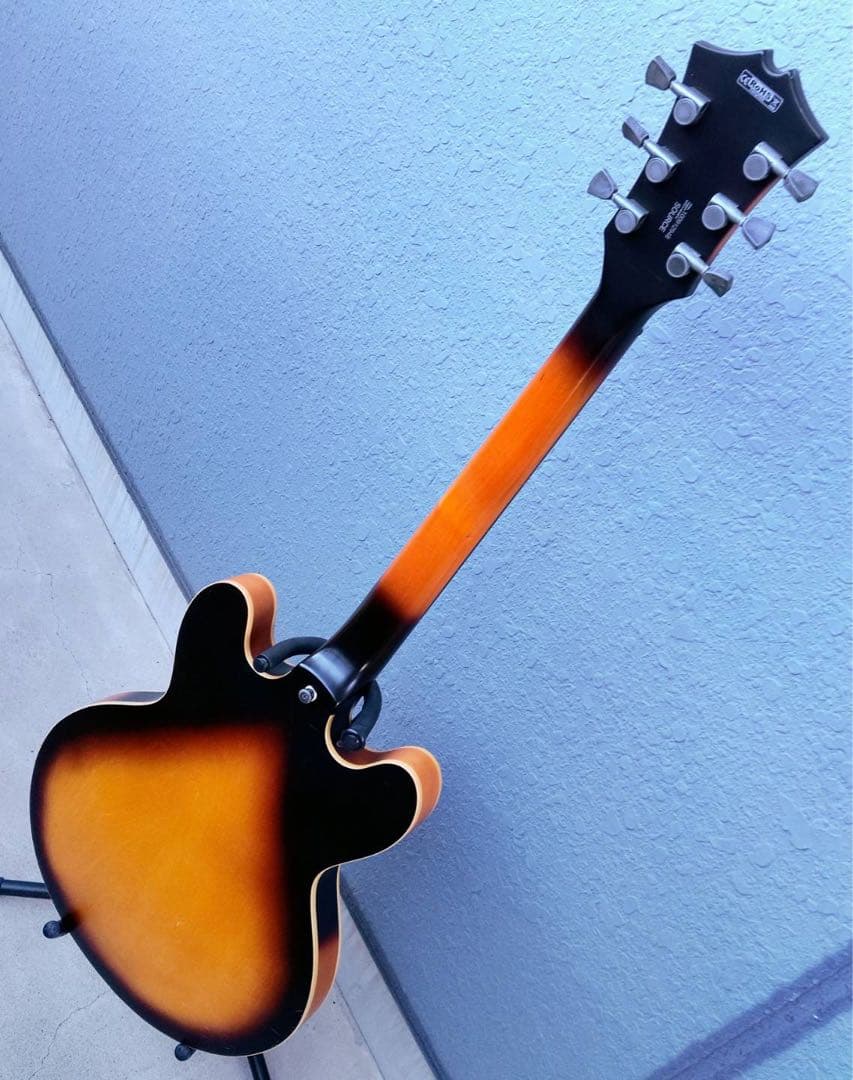 Cort Source 335 セミアコ buru
