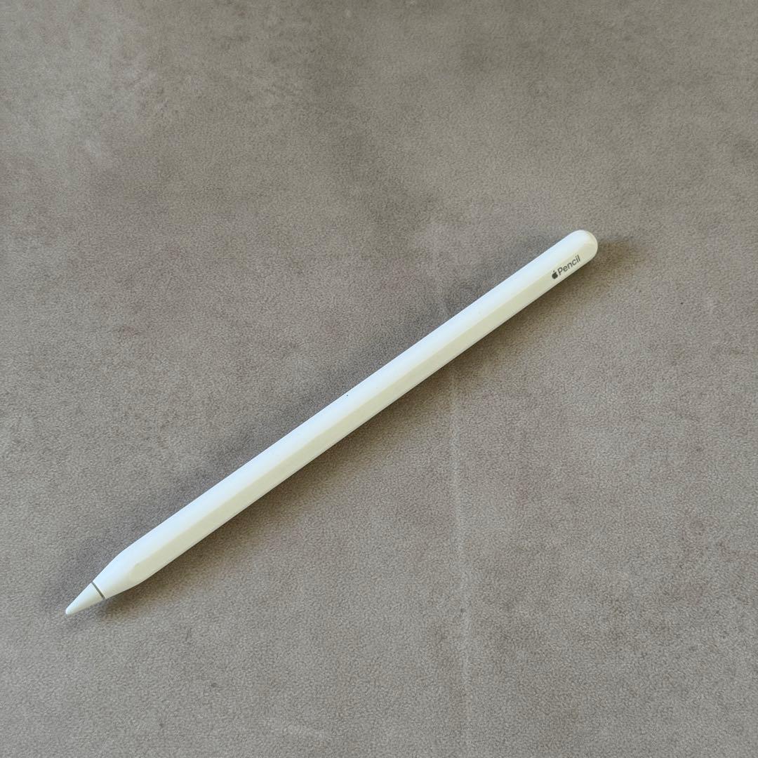 【美品】iPad Pro12.9 第五世代+Apple pencil おまけ付き