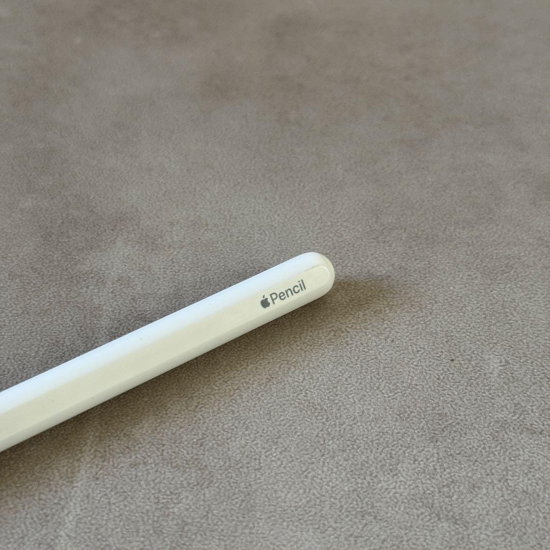【美品】iPad Pro12.9 第五世代+Apple pencil おまけ付き