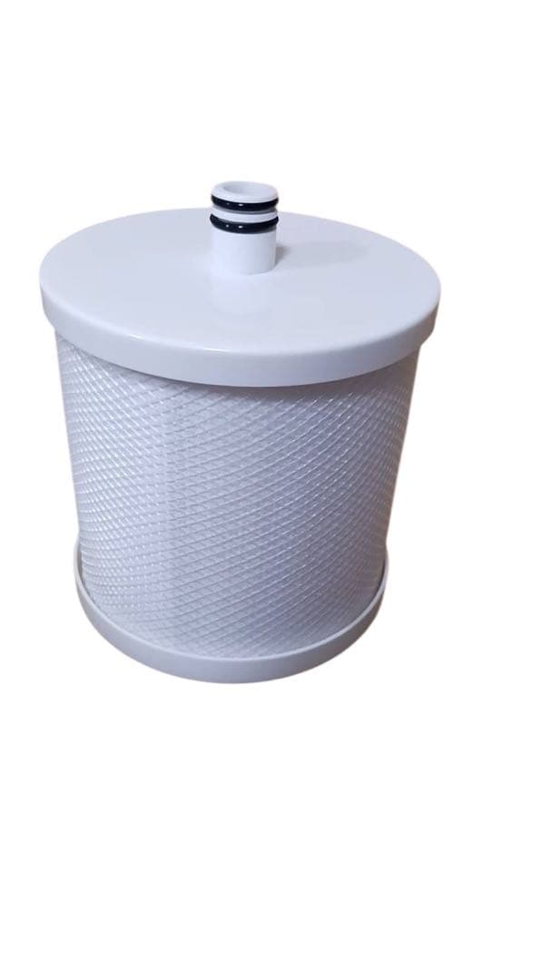 Bath Spring バスルーム浄水器　交換用フィルター