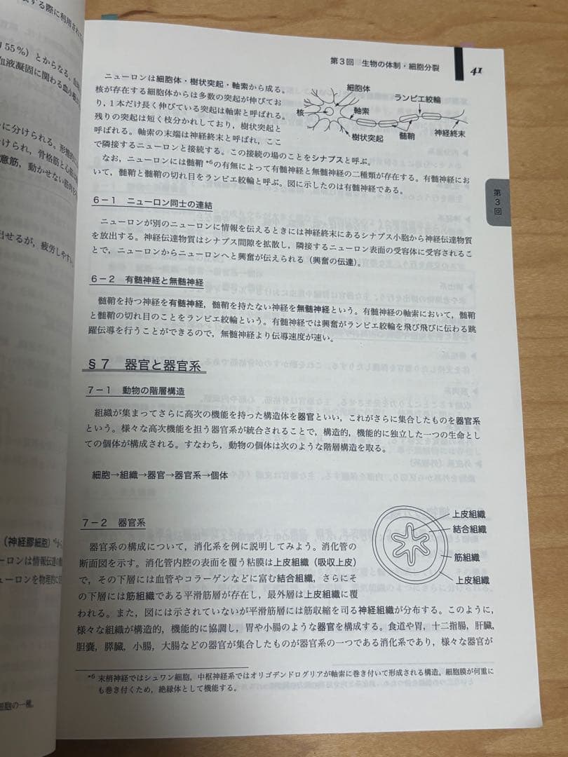 鉄緑会　高３生物　生物　生物発展講座　テキスト
