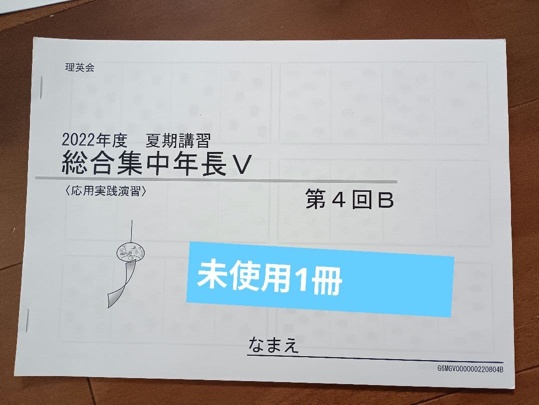 理英会夏期講習 Vロング+年長総合集中 +びっくり問題集 未記入有 小学校受験