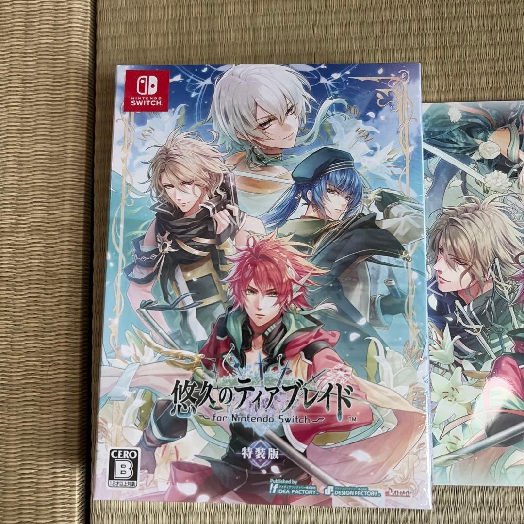 Switch 悠久のティアブレイド for Nintendo Switch 特…