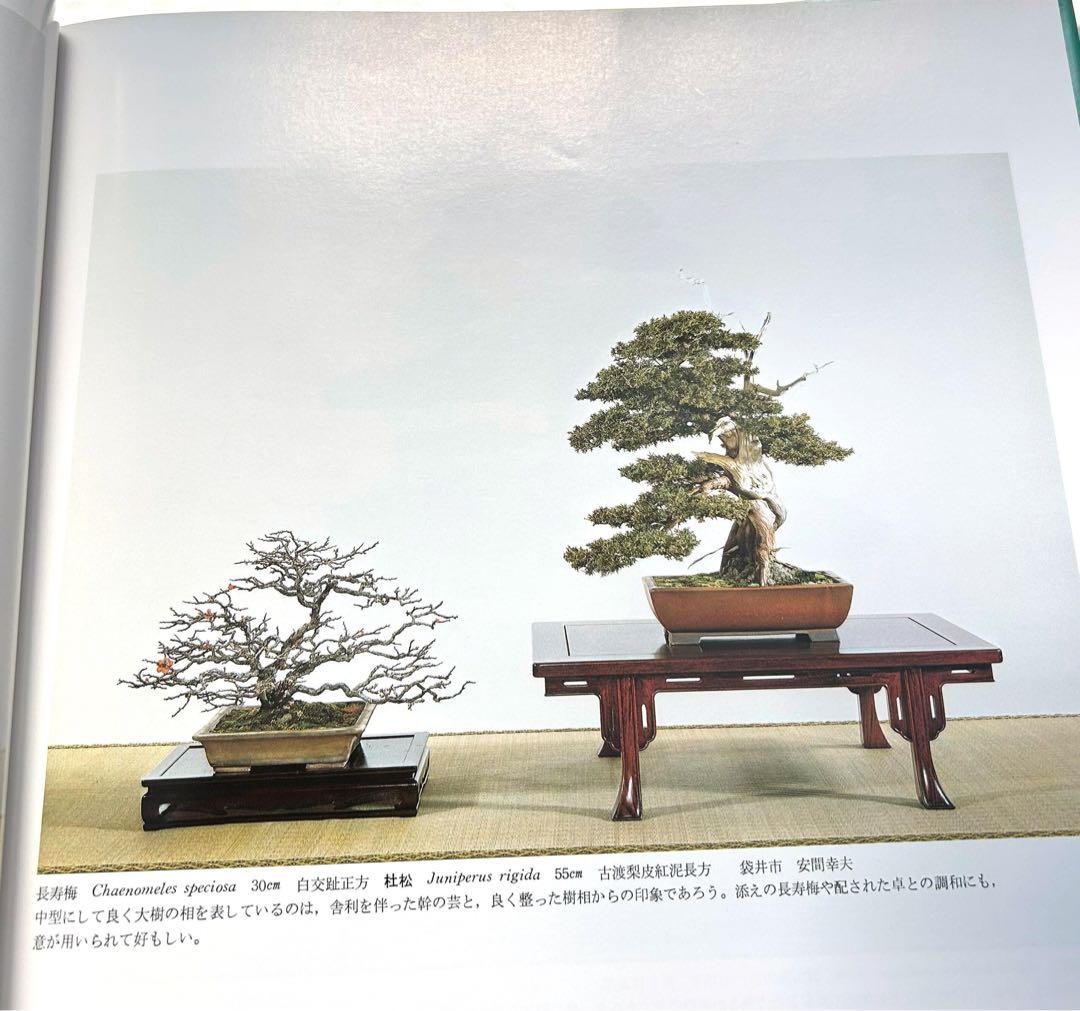 国風盆栽展 ８冊