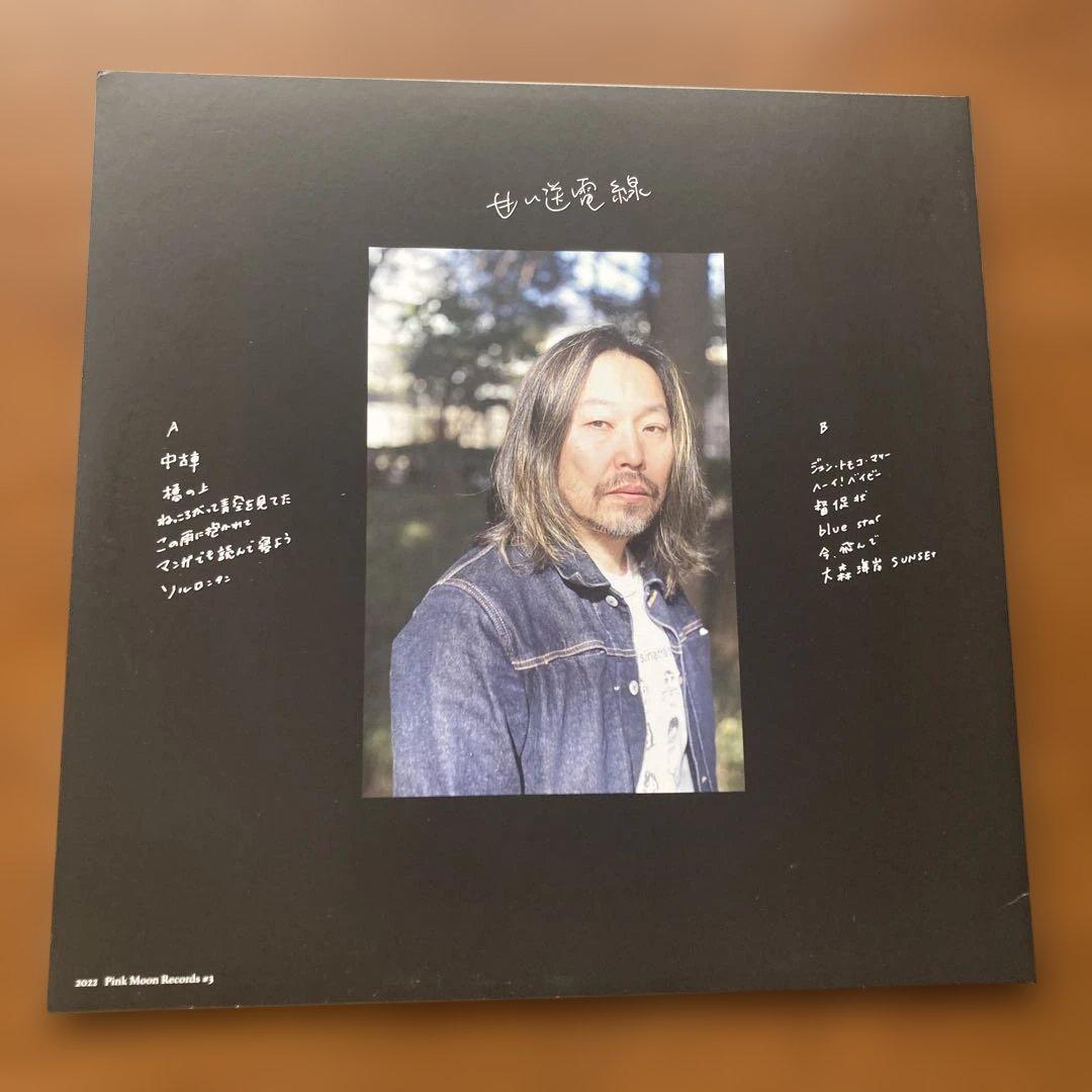 甘い送電線 LP 曽我部恵一　Sunny day service