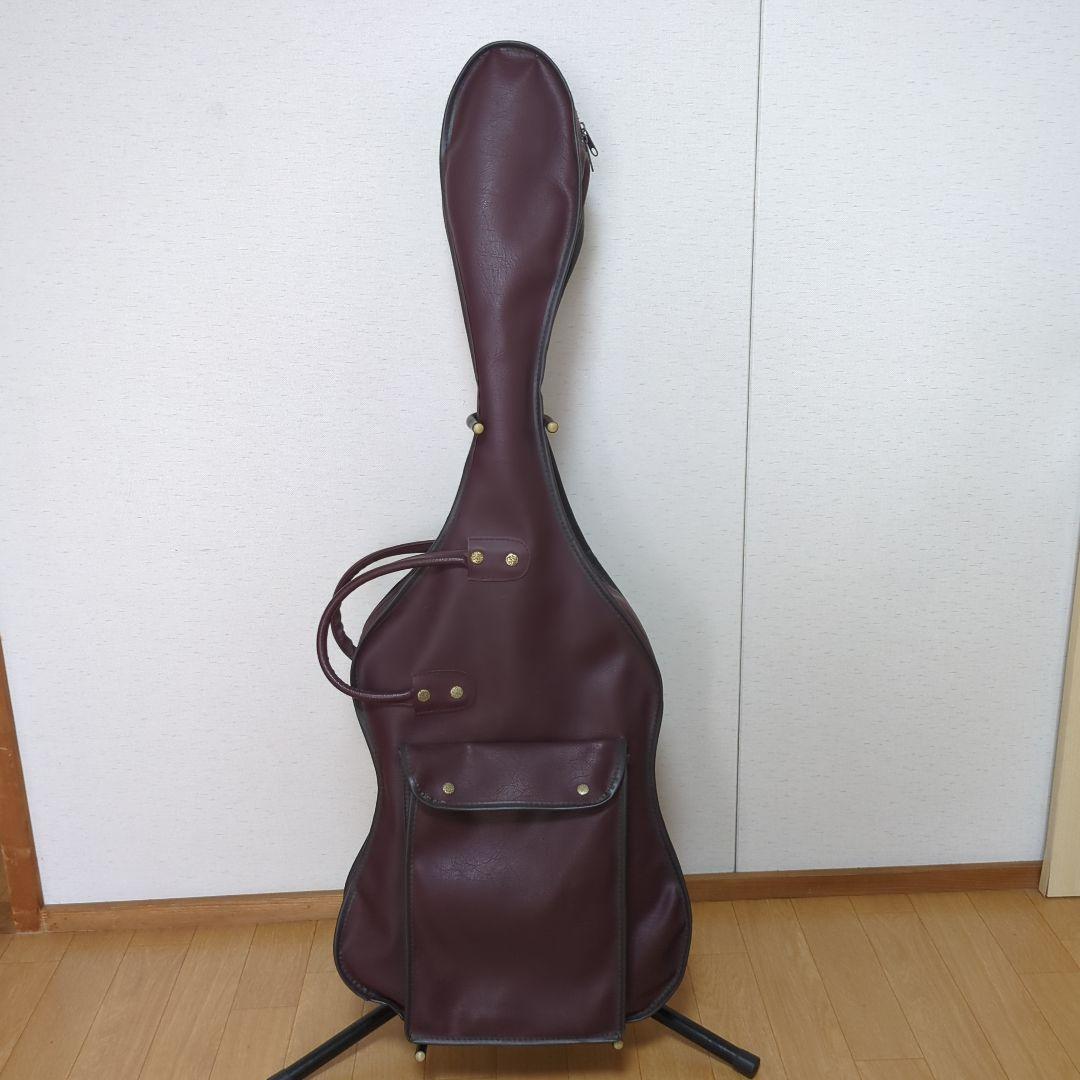 Aria Pro 2　MAGMA Series　エレキギターソフトケース付