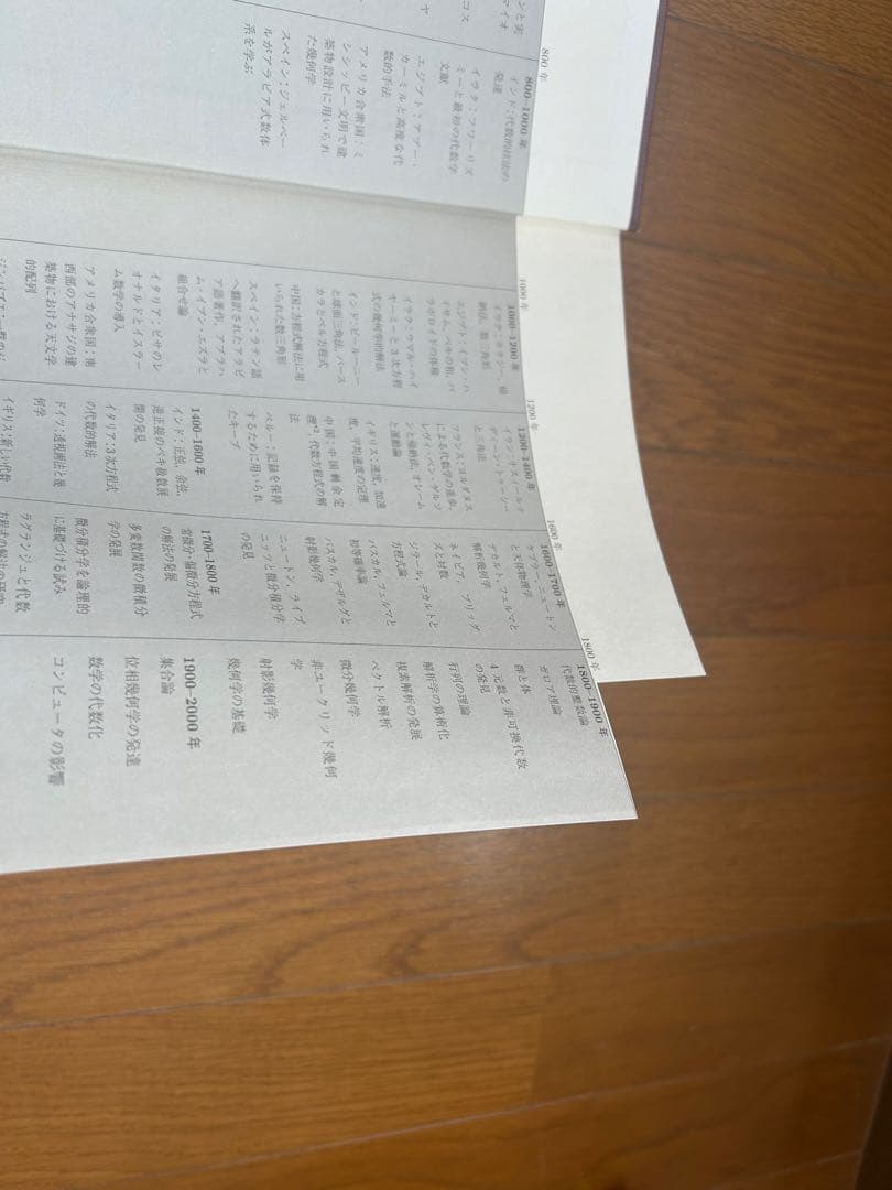 カッツ 数学の歴史