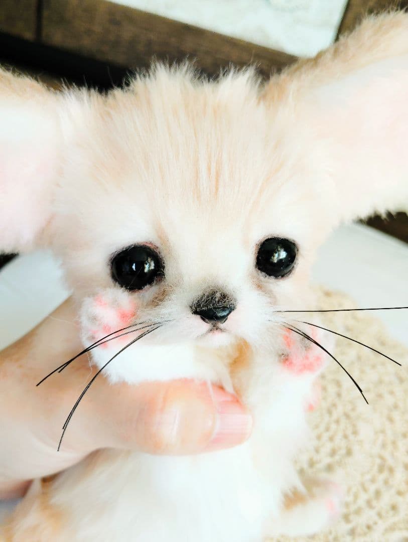 お名前付けてあげてね❤フェネックベビー♡生後２週間♡アートドール♡ぬいぐるみ♡