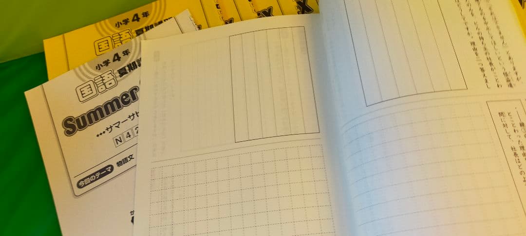 サピックス　夏期講習 国語　小４　サマーサピックス 全12冊フルセット