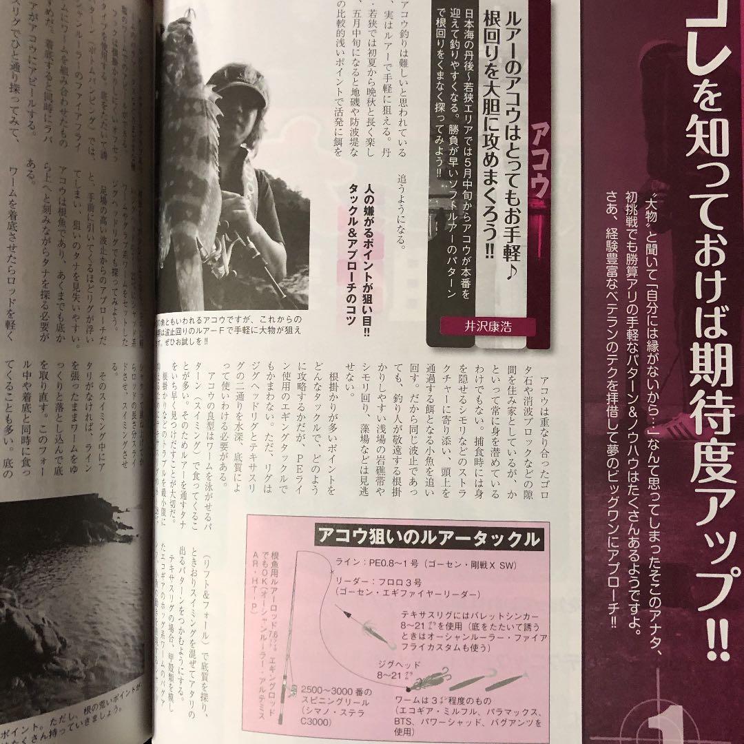 関西のつり / 2011年 6月号 / 波止の大物狙い撃ち！！ / 岳洋社