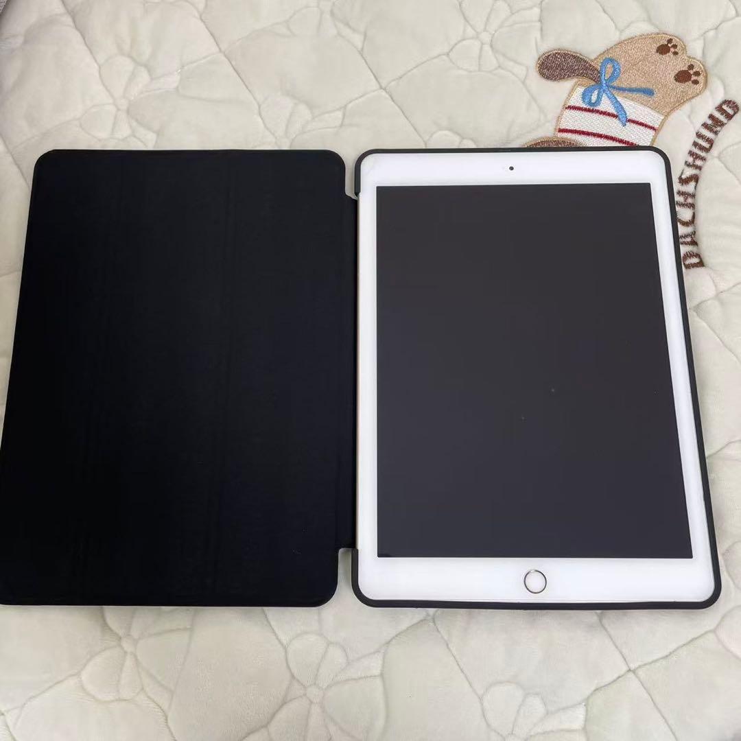 ipad 第5世代 9.7 inch大画面　32GB 大容量　中古品（本体のみ）