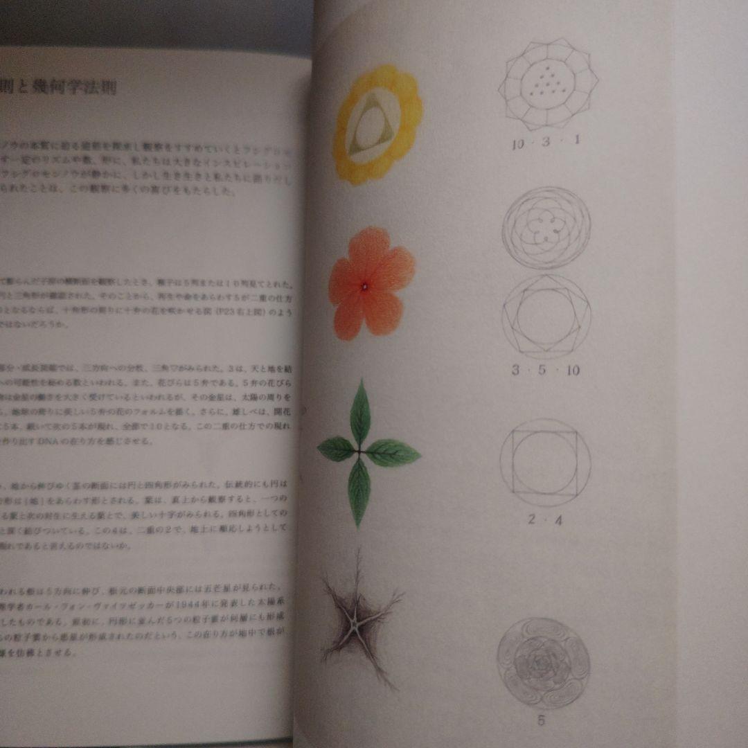 値下げしました★ アトリエルリユール　シュタイナー　植物観察プロジェクト