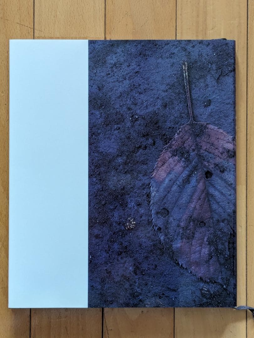 落葉　写真集　ACCUMULUS　by　MASAO OHTA　オオタマサオ