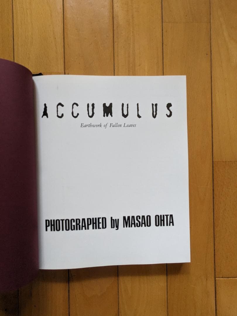 落葉　写真集　ACCUMULUS　by　MASAO OHTA　オオタマサオ