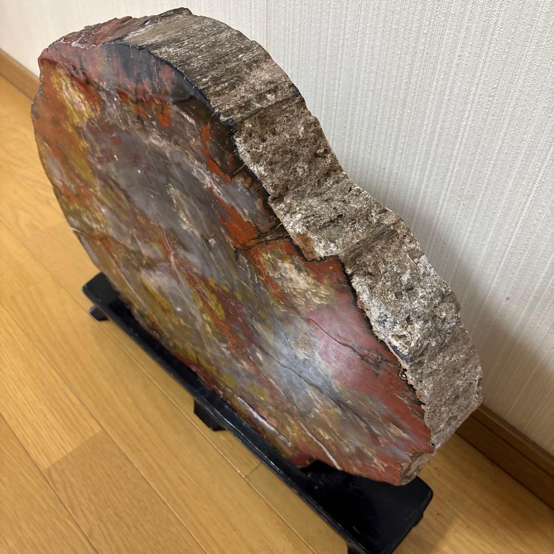 珪化木