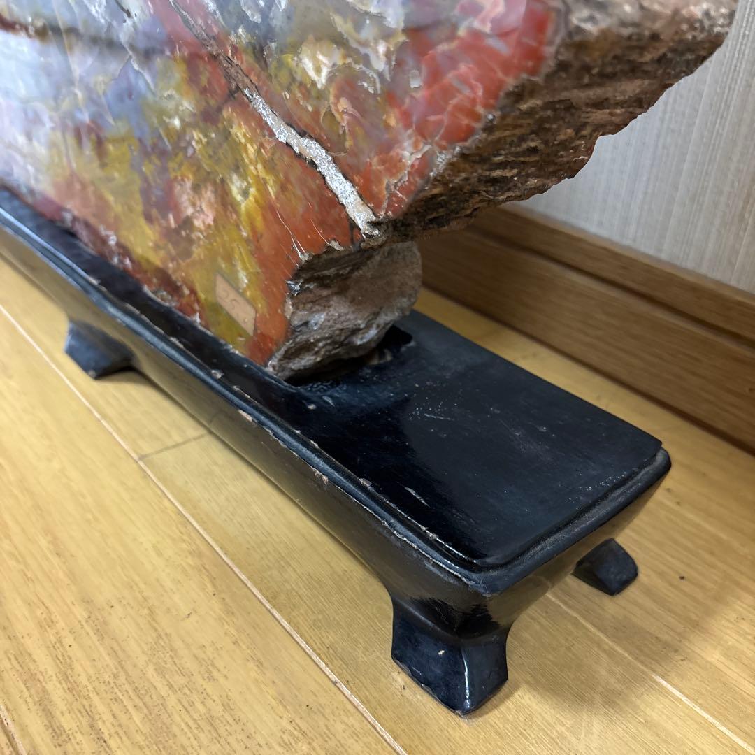 珪化木