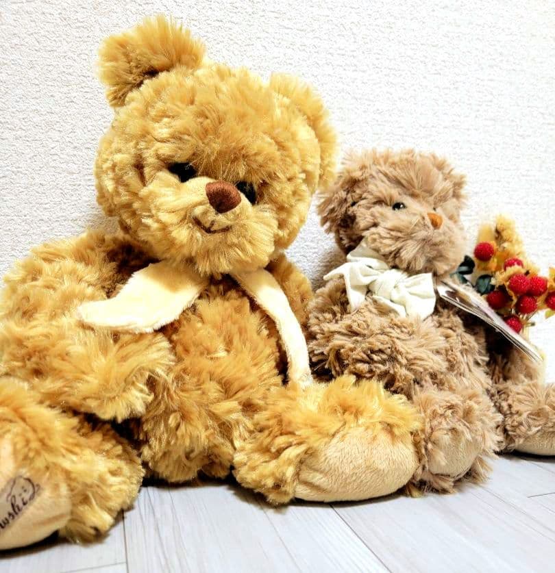 Bukowski　テディベア　ブコウスキー　４点セット　ぬいぐるみ