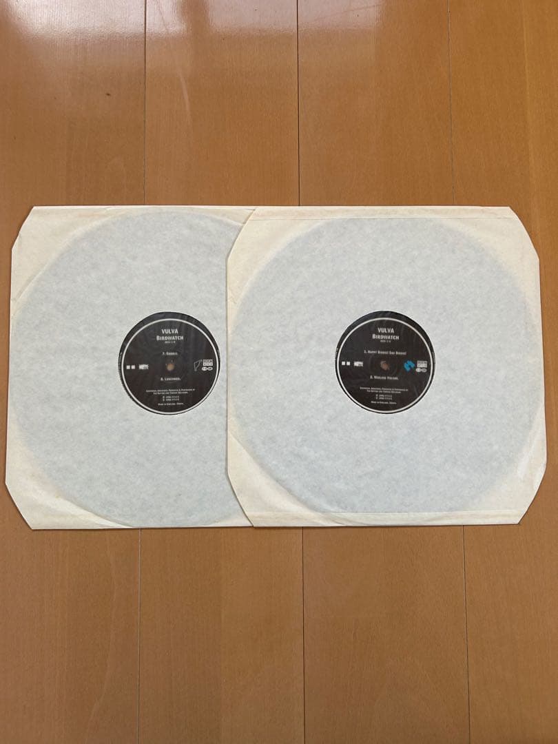 洋楽 VULVA / BIRDWATCH 2LP